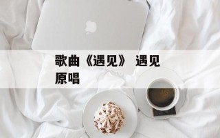 歌曲《遇见》 遇见 原唱