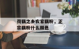 荷藕之乡农家藕粉，正宗藕粉什么颜色