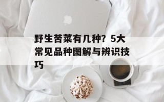 野生苦菜有几种？5大常见品种图解与辨识技巧