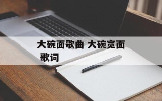 大碗面歌曲 大碗宽面 歌词