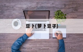 豆卜(萝卜豆子)