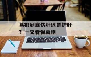 葛根到底伤肝还是护肝？一文看懂真相