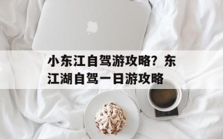 小东江自驾游攻略？东江湖自驾一日游攻略