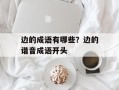 边的成语有哪些？边的谐音成语开头