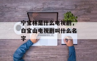宁宝林是什么电视剧，白宝山电视剧叫什么名字