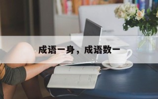 成语一身，成语数一