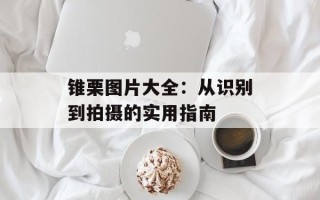 锥栗图片大全：从识别到拍摄的实用指南