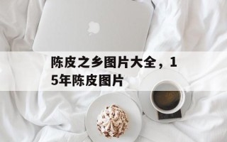 陈皮之乡图片大全，15年陈皮图片