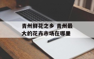 青州鲜花之乡 青州最大的花卉市场在哪里