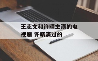 王志文和许晴主演的电视剧 许晴演过的