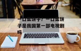 一口菜饼子？一口菜饼子是我国第一部电视剧吗