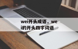 wei开头成语，wei的开头四字词语