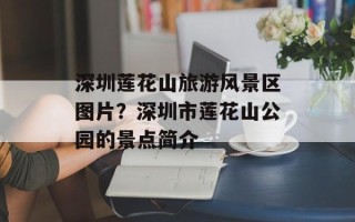 深圳莲花山旅游风景区图片？深圳市莲花山公园的景点简介
