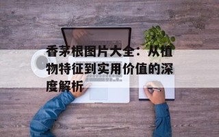 香茅根图片大全：从植物特征到实用价值的深度解析