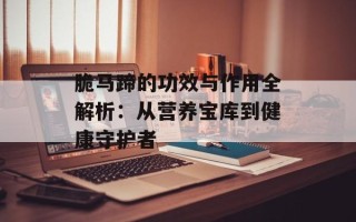 脆马蹄的功效与作用全解析：从营养宝库到健康守护者