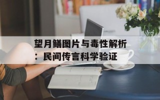 望月鳝图片与毒性解析：民间传言科学验证