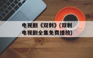 电视剧《双刺》(双刺电视剧全集免费播放)