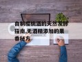 自制樱桃酒的天然发酵指南,无酒精添加的果香秘方