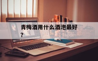 青梅酒用什么酒泡最好？