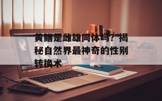 黄鳝是雌雄同体吗？揭秘自然界最神奇的性别转换术