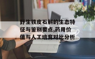 野生铁皮石斛的生态特征与鉴别要点,药用价值与人工培育对比分析