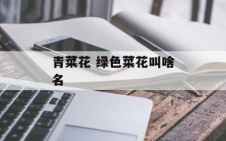 青菜花 绿色菜花叫啥名