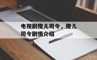 电视剧傻儿司令，傻儿司令剧情介绍