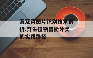 芨芨菜图片识别技术解析,野生植物智能分类的实践路径