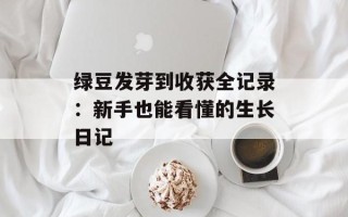 绿豆发芽到收获全记录：新手也能看懂的生长日记