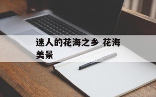 迷人的花海之乡 花海美景