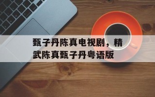 甄子丹陈真电视剧，精武陈真甄子丹粤语版