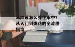马蹄莲怎么养在水中？从入门到爆花的全流程指南