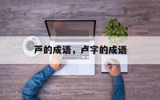 芦的成语，卢字的成语