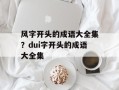 风字开头的成语大全集？dui字开头的成语大全集
