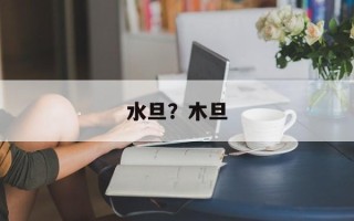 水旦？木旦