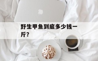 野生甲鱼到底多少钱一斤？