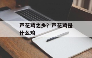 芦花鸡之乡？芦花鸡是什么鸡