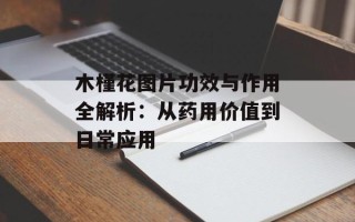 木槿花图片功效与作用全解析：从药用价值到日常应用