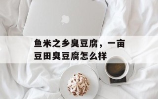 鱼米之乡臭豆腐，一亩豆田臭豆腐怎么样