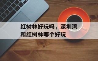 红树林好玩吗，深圳湾和红树林哪个好玩