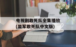 电视剧敢死队全集播放(盟军敢死队中文版)