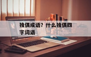 独偶成语？什么独偶四字词语