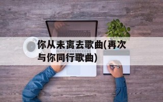 你从未离去歌曲(再次与你同行歌曲)