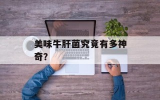 美味牛肝菌究竟有多神奇？