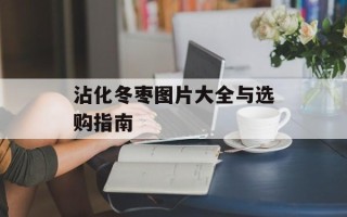 沾化冬枣图片大全与选购指南