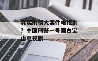 真实刑侦大案件电视剧？中国刑警一号案白宝山电视剧