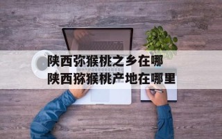 陕西弥猴桃之乡在哪 陕西猕猴桃产地在哪里