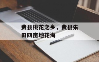 费县桃花之乡，费县朱田四亩地花海