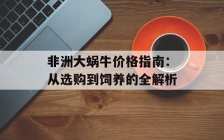 非洲大蜗牛价格指南：从选购到饲养的全解析