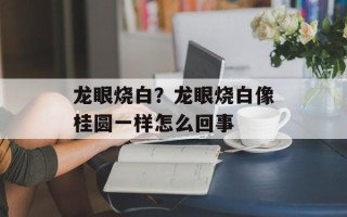 龙眼烧白？龙眼烧白像桂圆一样怎么回事
